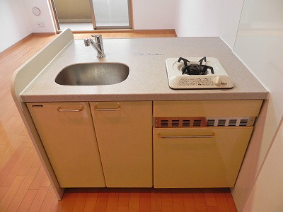 プレサンス京大東 キッチン