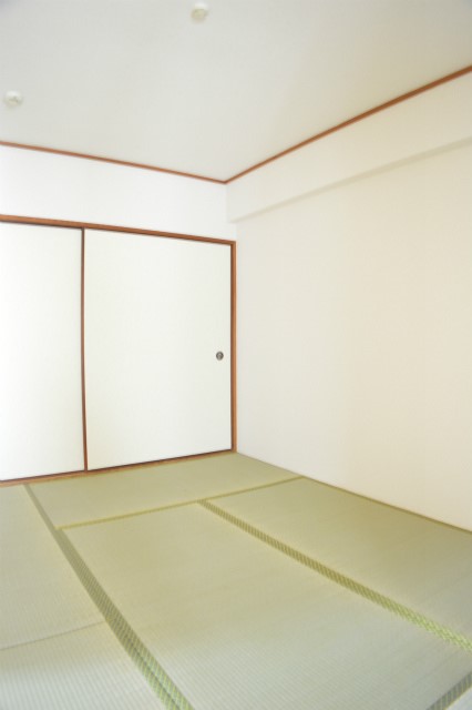 ロイヤルコーポ その他部屋・スペース