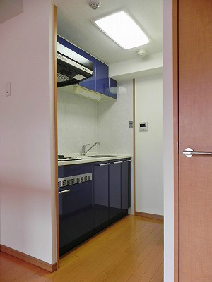 プレサンス京都三条大橋鴨川苑 キッチン