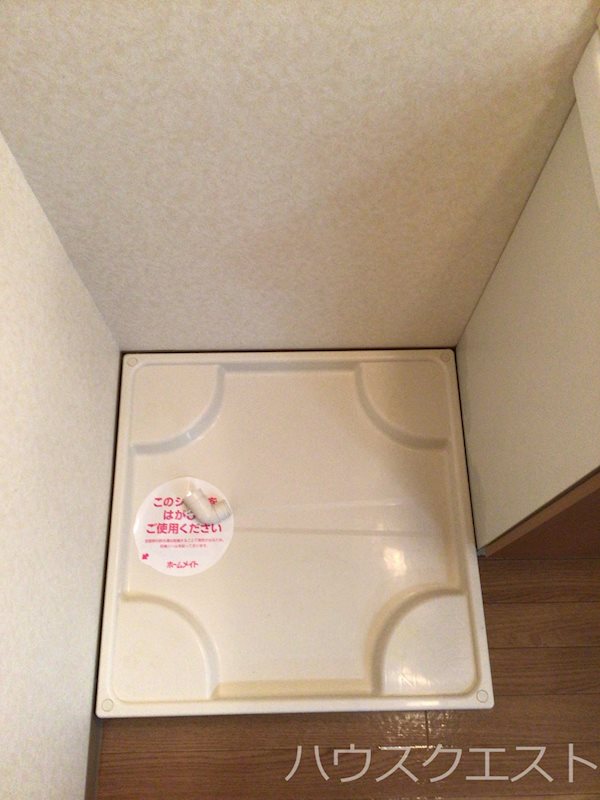 For The God  その他