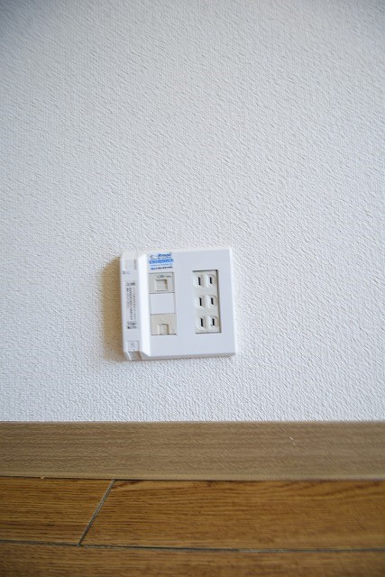 プラナスミカゲ その他