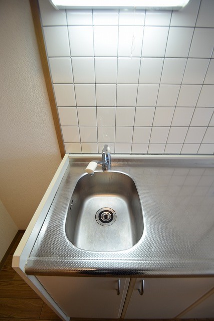 プラナスミカゲ その他