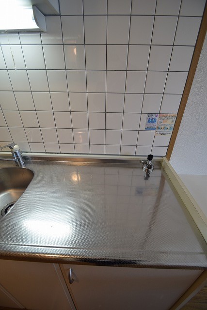 プラナスミカゲ その他