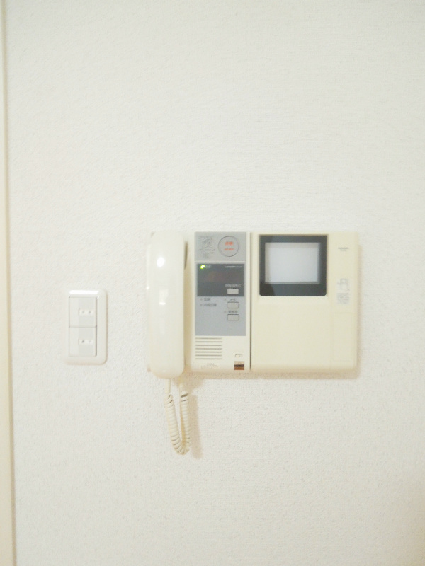 ボナレテラ吉文字 セキュリティ