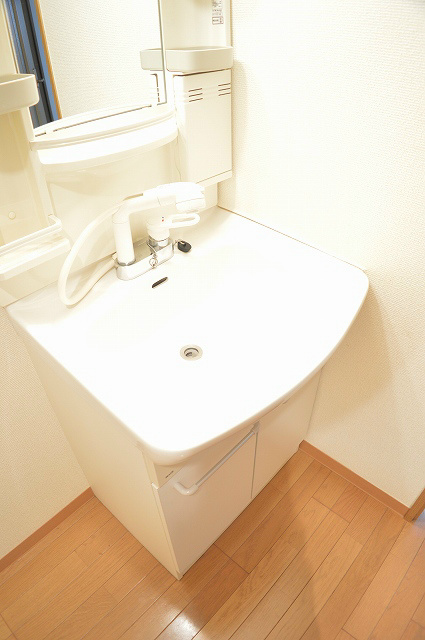 グランドパレス御池衣棚 洗面所