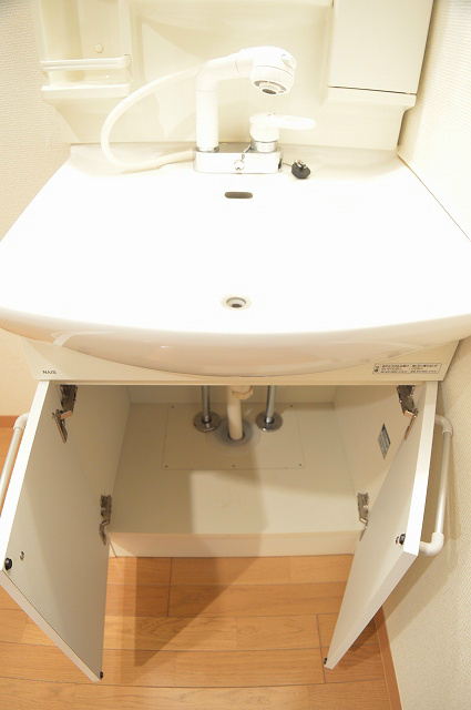 グランドパレス御池衣棚 洗面所