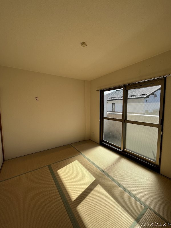 ノールヴァーグ その他