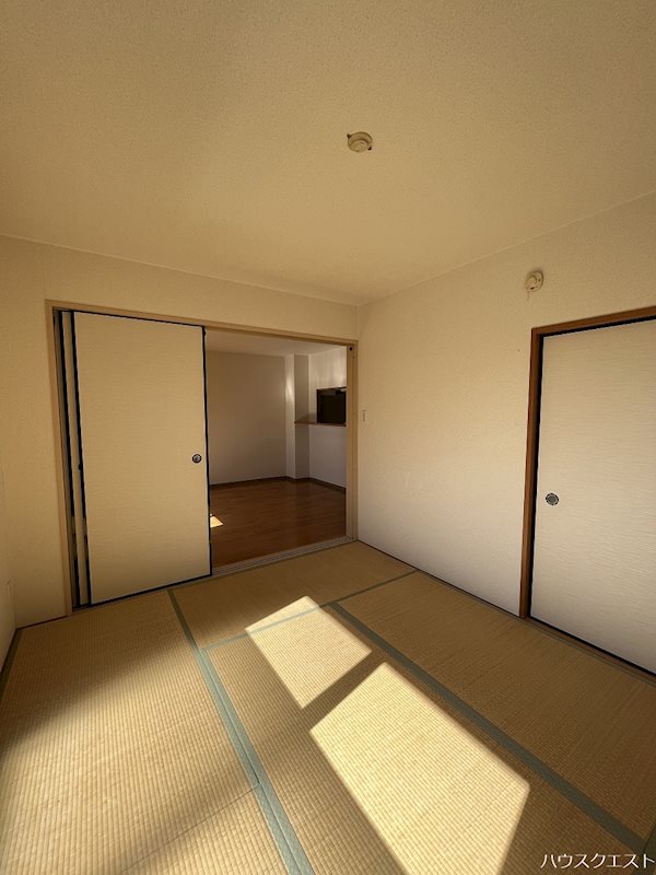 ノールヴァーグ その他