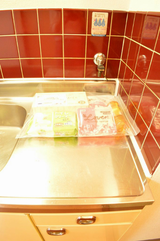 緑の館アネックス キッチン