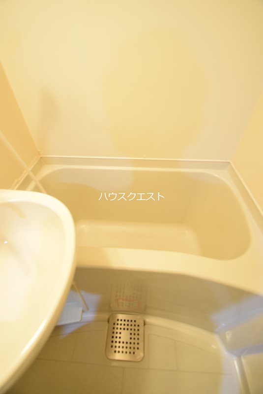 ブルーベル その他