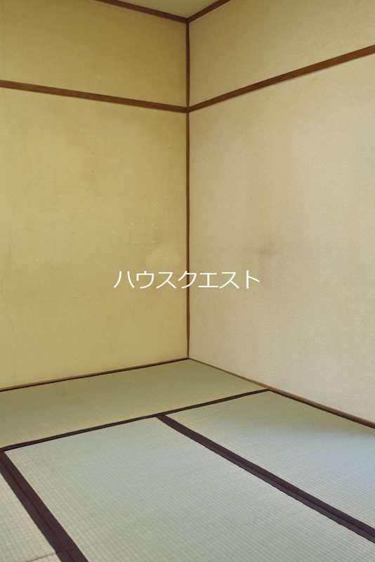 ヤングマンション その他