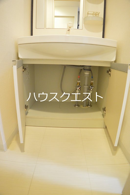 アルビオン 洗面所