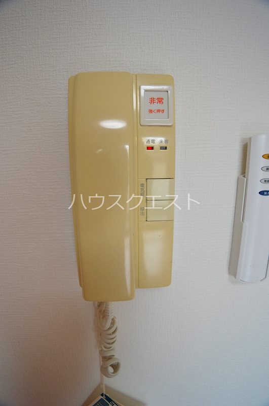 エテルノポッソ その他