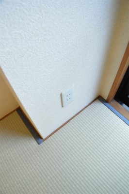 カームネス その他