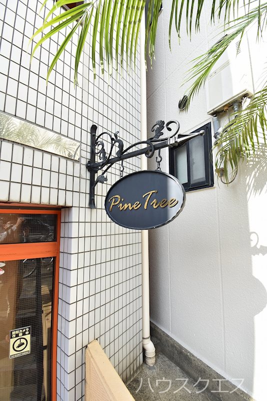 PINE TREE その他