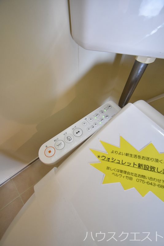 PINE TREE その他