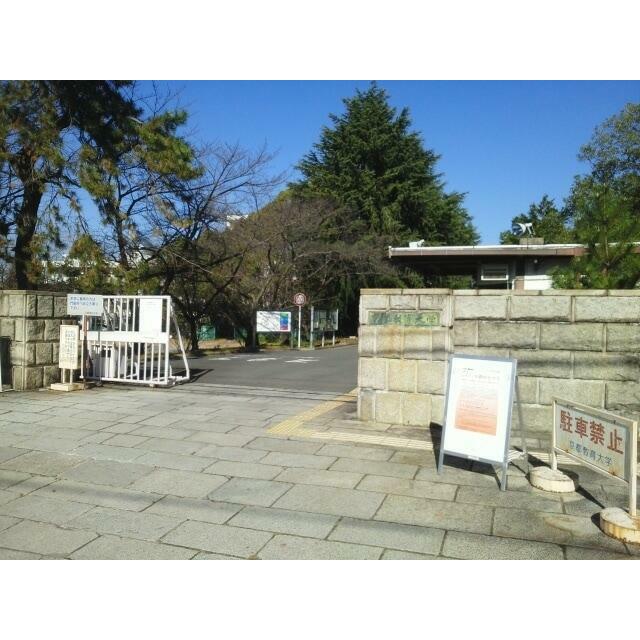 クレアーレ丹波橋 大学・短大