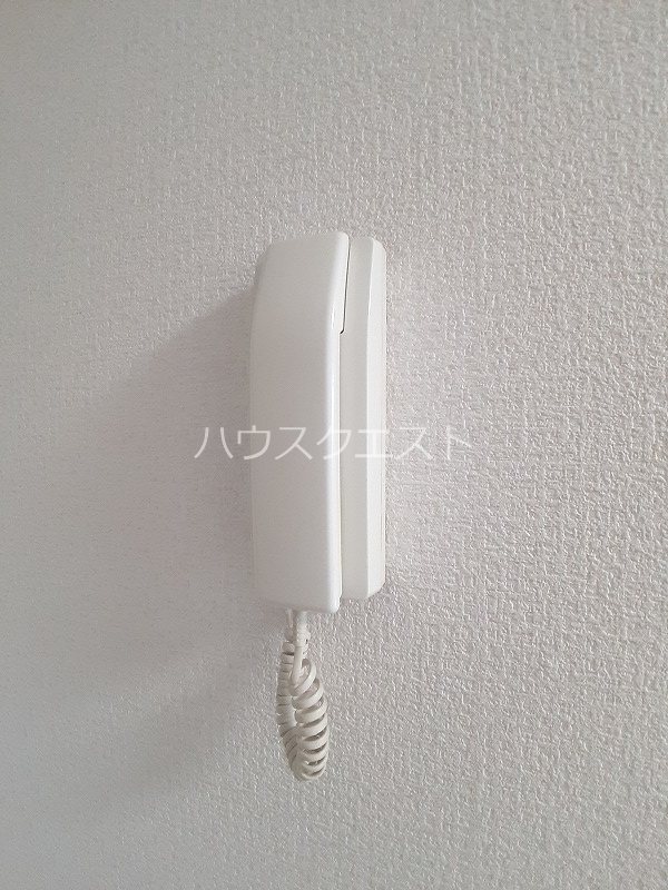 アドニス その他