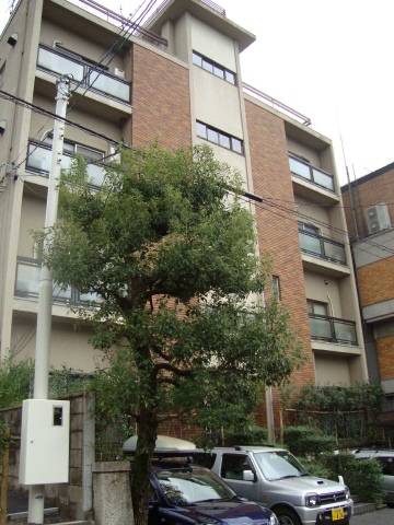 北白川松園 外観