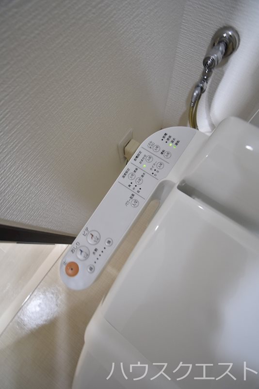サウス・サントゥールくいな橋 その他
