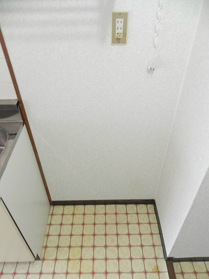 センチュリーハイツコスモ その他部屋・スペース
