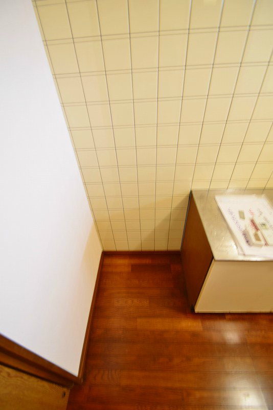 銀頂ハイツ その他部屋・スペース