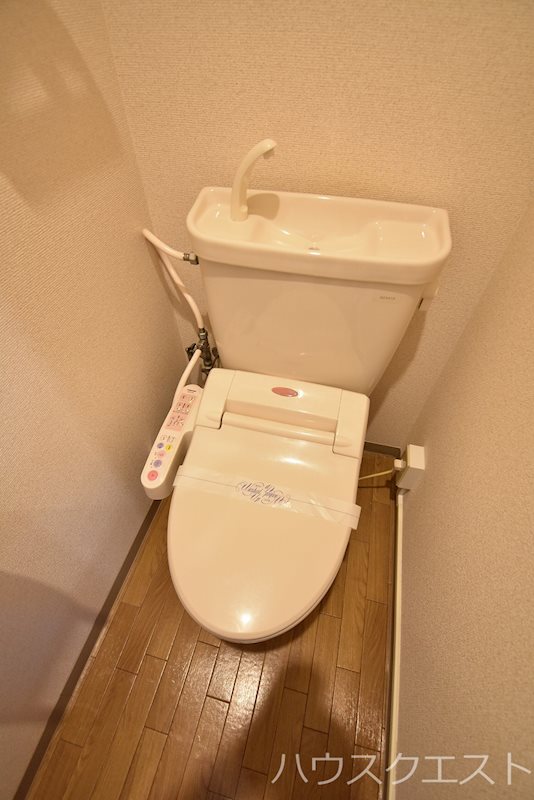 カントリーベア その他
