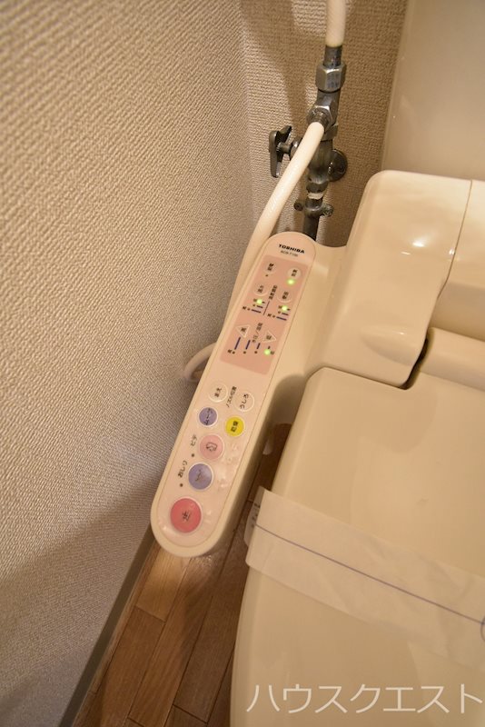 カントリーベア その他