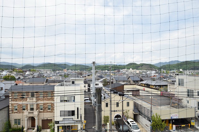 プロスペクト下鴨 眺望