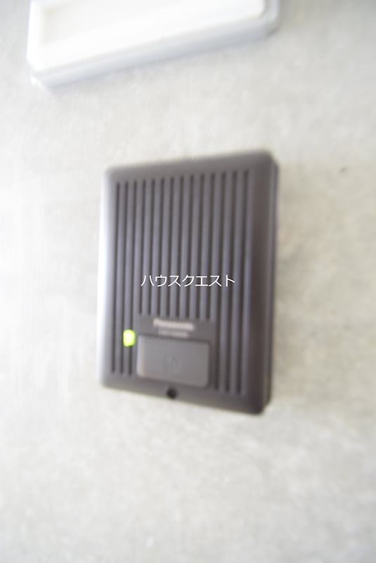 ブルーベル その他