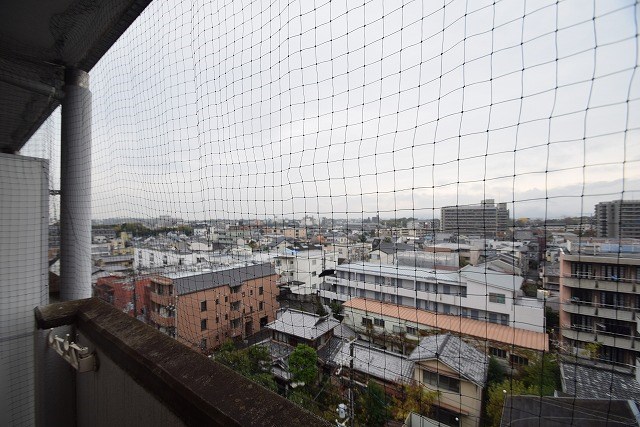おおきに百万遍サニーアパートメント 眺望