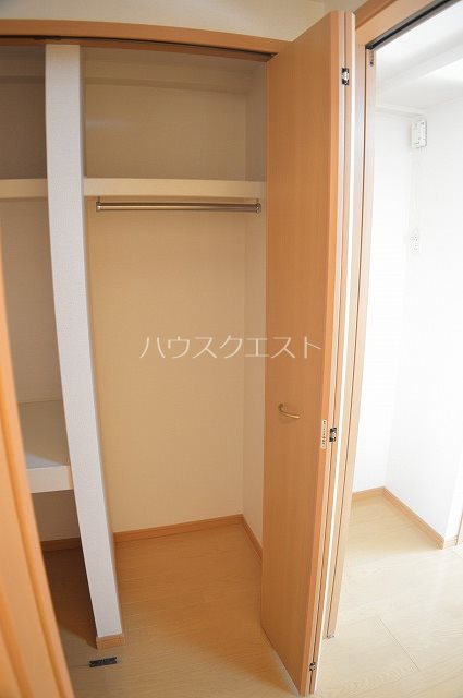 ステラ・ランド その他