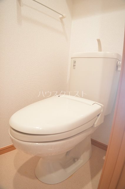 ステラ・ランド その他