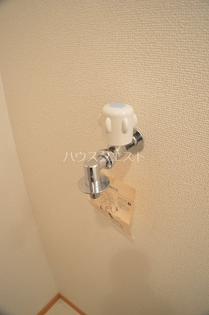 ステラ・ランド その他