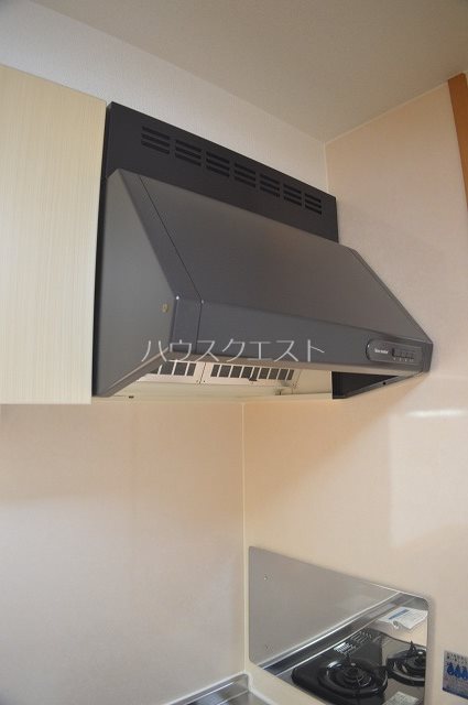 ステラ・ランド その他