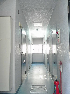森マンションⅦ その他