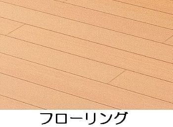 フロレゾン その他
