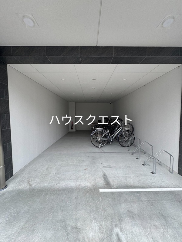 カミューレメリーランス  その他