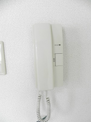 ラファエル岡崎 セキュリティ