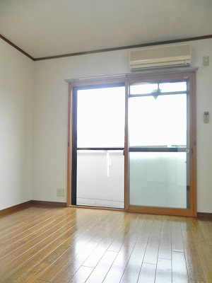 ラファエル岡崎 その他