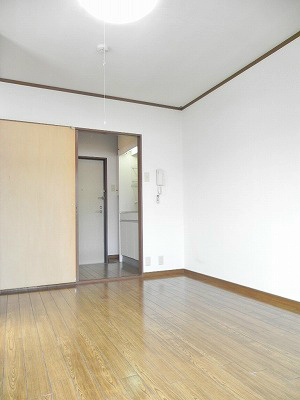 ラファエル岡崎 その他