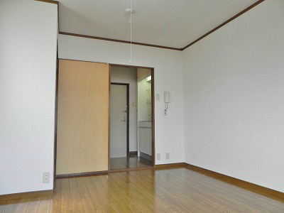 ラファエル岡崎 その他