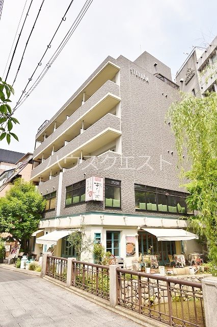 ステラム その他