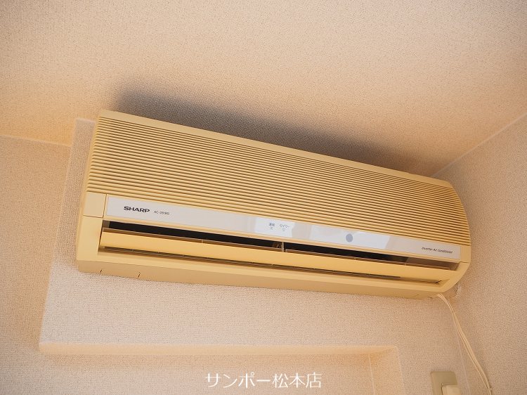Ｂｒａｎｃｈｅ　Ｅｃｈｏ　T（ブランシェエコー） その他