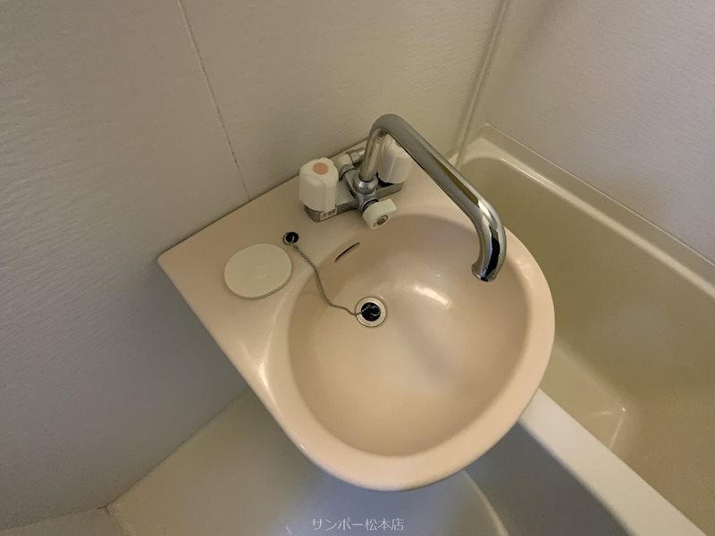 イリスアーク 洗面所