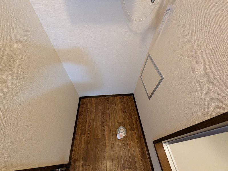 ディアスパルテール その他
