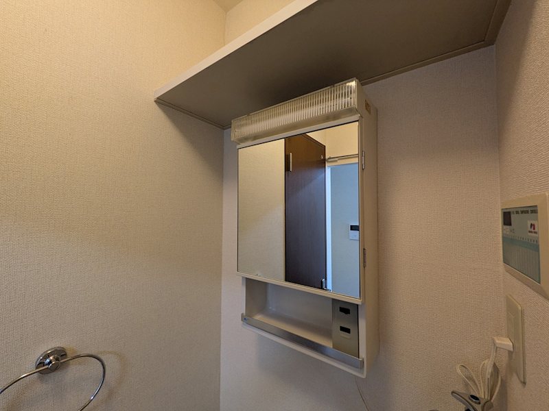 ディアスパルテール その他