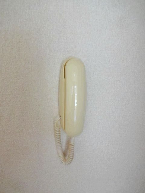 カールド・ファミリア セキュリティ