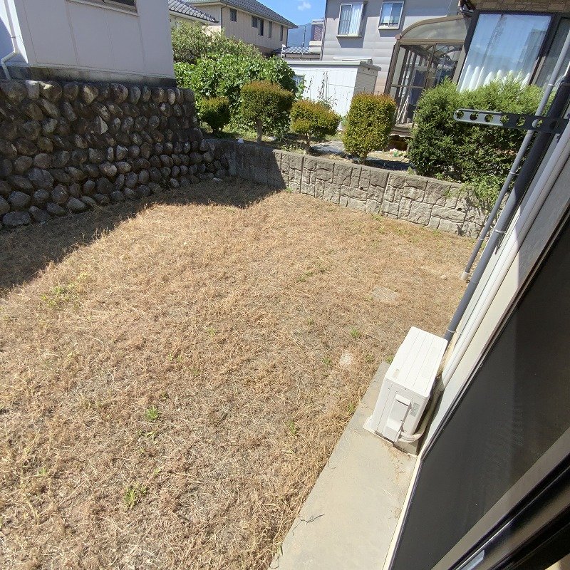 フレグランス　マロニエ その他