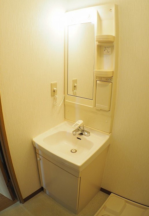 アビシニアン その他